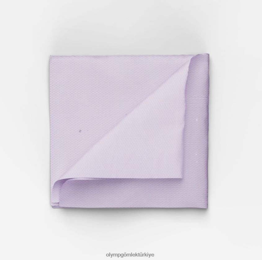 aksesuarlar_olymp_cep_mendili_33x33_cm_lila_pl4dlh2554.jpg Aksesuarlar OLYMP cep mendili 33x33 cm, lila PL4DLH2554 - Görsel 1