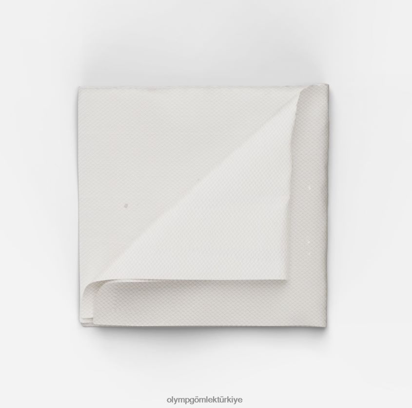 aksesuarlar_olymp_cep_mendili_33x33_cm_sampanya_pl4dlh2542.jpg Aksesuarlar OLYMP cep mendili 33x33 cm, şampanya PL4DLH2542 - Görsel 1