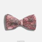 Aksesuarlar OLYMP normal papyon 5,5 cm, kırmızı PL4DLH2505