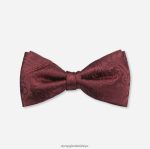 Aksesuarlar OLYMP papyon normal 5,5 cm, koyu kırmızı PL4DLH2525